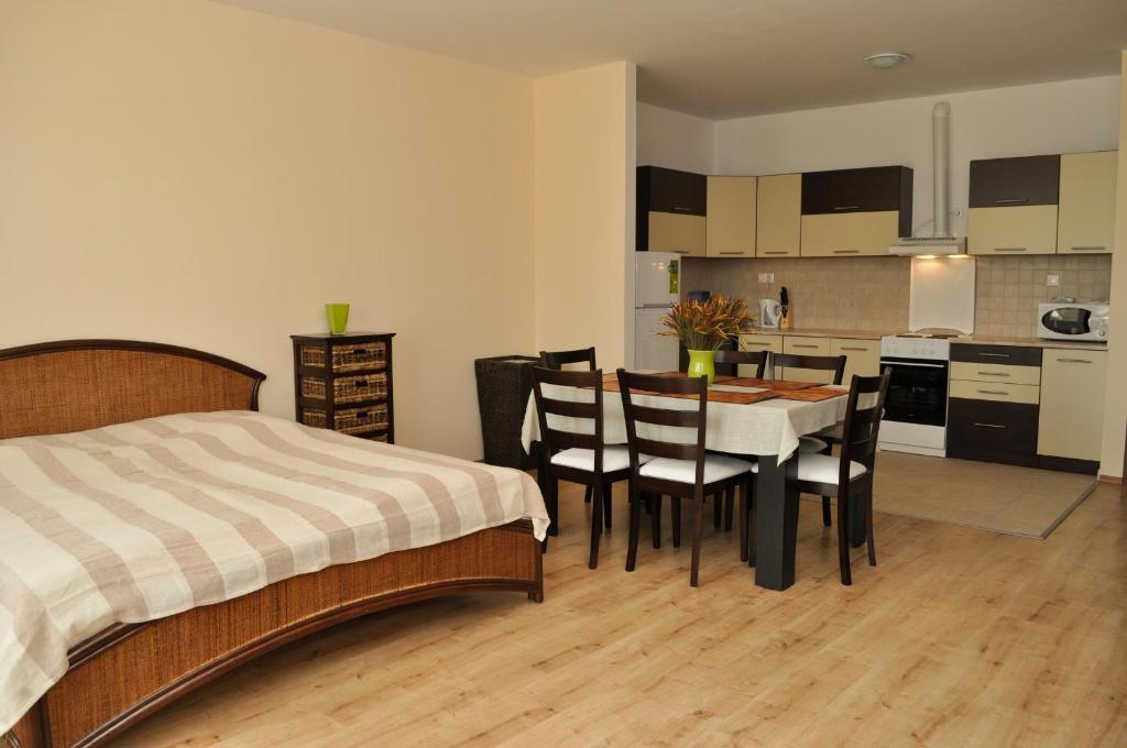 Tisza Palota Apartmanok セゲド 部屋 写真