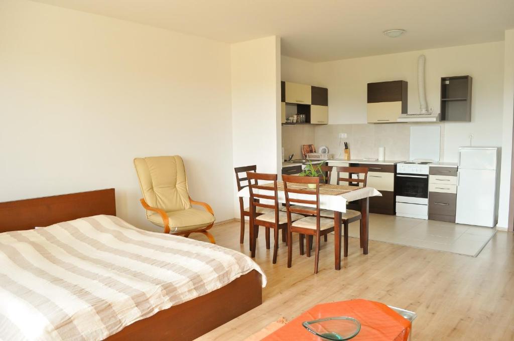 Tisza Palota Apartmanok セゲド 部屋 写真