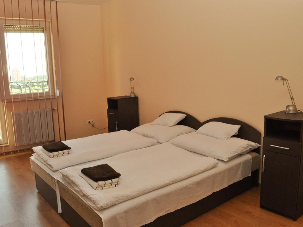 Tisza Palota Apartmanok セゲド 部屋 写真